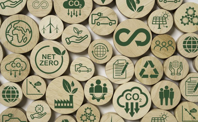 Eco friendly signs and logos on wooden blocks. MoveStore is committed to a sustainable future